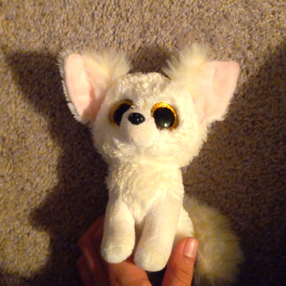 Phoenix the fennec fox